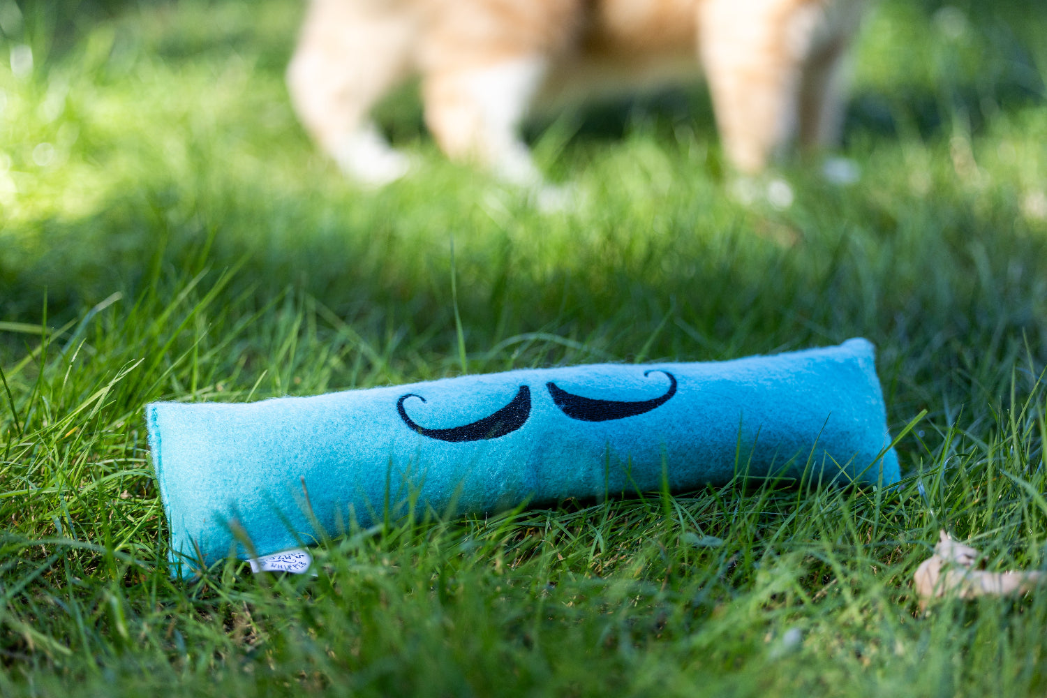 JZW | Scipio Cat Toy! | Pack of 1 | Pre-Order