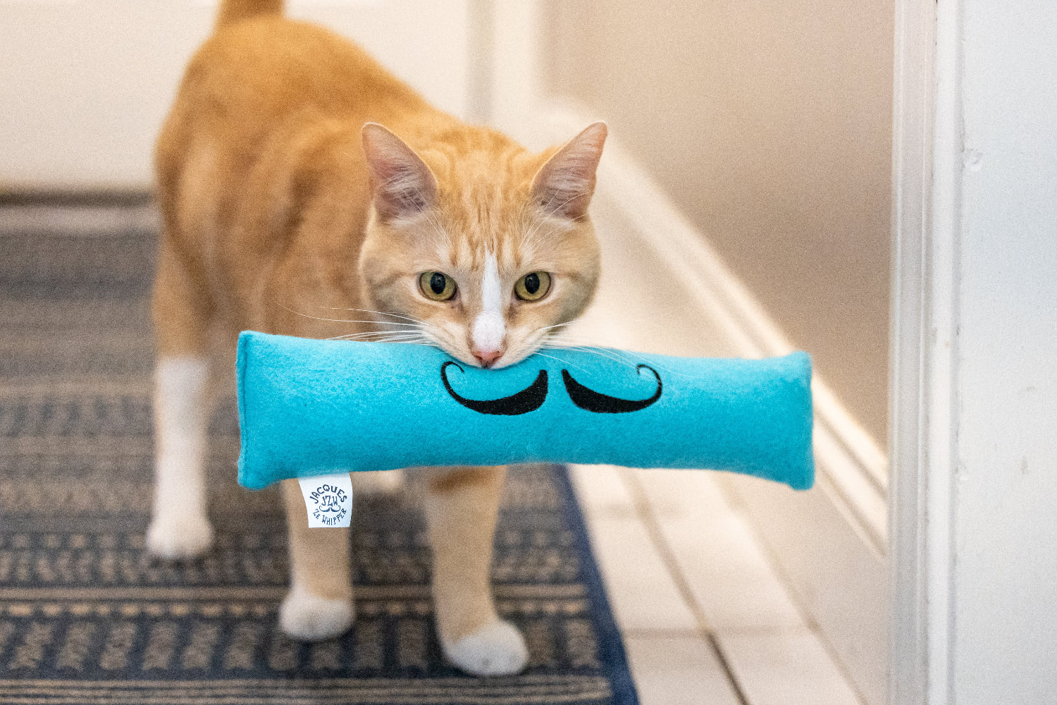 JZW | Scipio Cat Toy! | Pack of 1 | Pre-Order